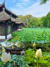 在成都丨唯一我想去無數次的公園！