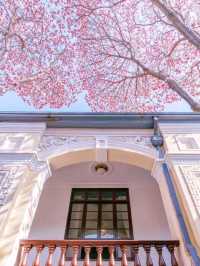 Pink Presidential Palace of Nanjing 🌸🇨🇳