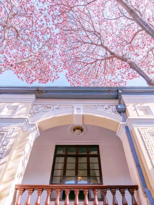 Pink Presidential Palace of Nanjing 🌸🇨🇳