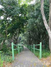 Longcheng Park Shenzhen 