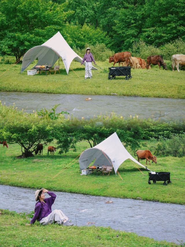 武漢——楊山河