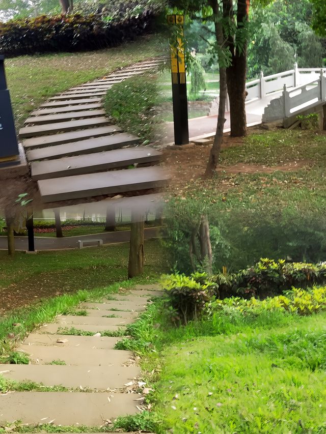 徐聞人民公園最佳遊玩攻略 徐聞人民公園最佳遊玩攻略