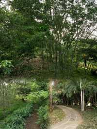 徐聞人民公園最全攻略