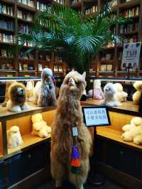 書香氣華，書店明星，閱讀寶地，泰舍書局
