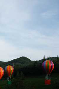 在心靈棲息地自在放空