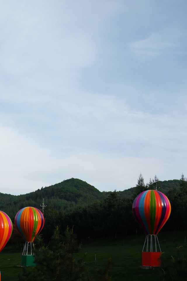 在心靈棲息地自在放空