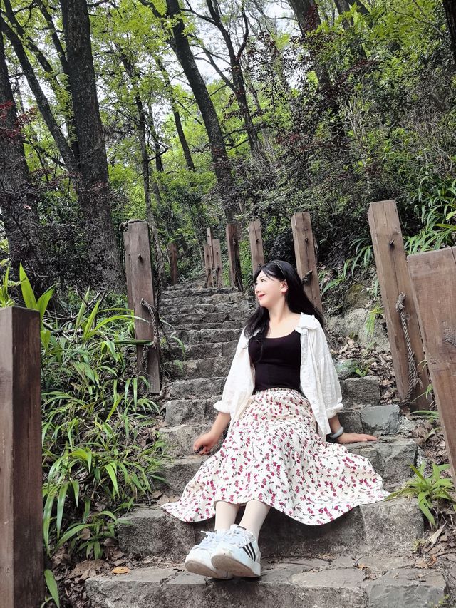 必須告訴你寶藏徒步路線龍脊山，尽享林木之美、山巒之秀！