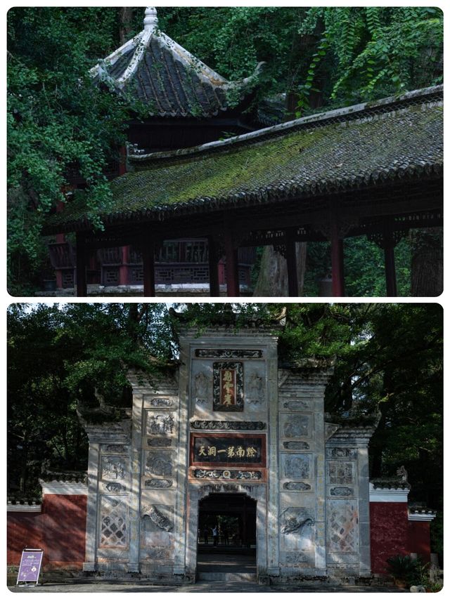 剛從飛雲崖回來！一些大實話！看完再去！！！