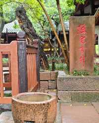 假期去哪玩？去四川省眉山市東坡巨紗毅行南段三蘇祠