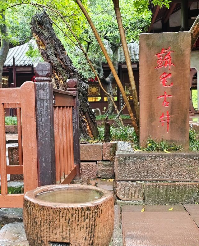假期去哪玩？去四川省眉山市東坡巨紗毅行南段三蘇祠