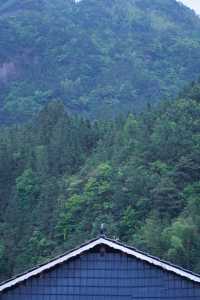 柳州融水 | 3H可達，找個週末去山裡放空