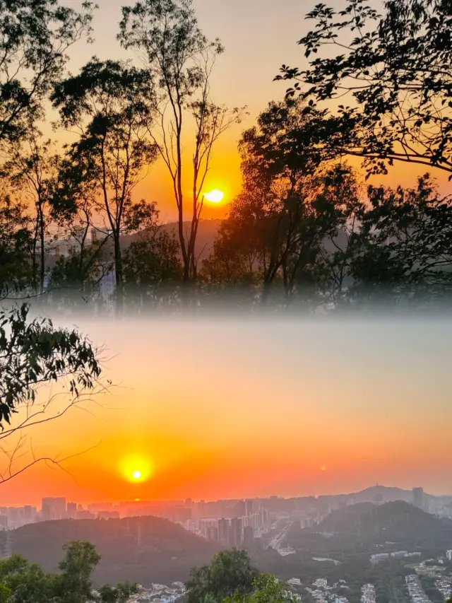Shenzhen's version of 'Little Qingdao', climb the ladder to heaven, enter ancient temples, and watch the sunset glow