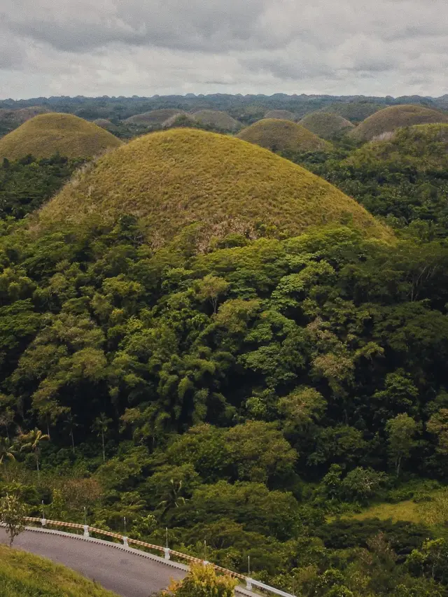 Philippines Island Selection Guide No.｜Bohol Island Vacation.