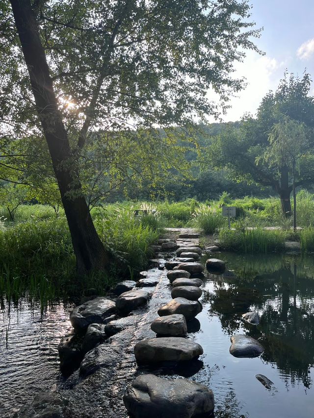 塞上水鄉·郭家溝