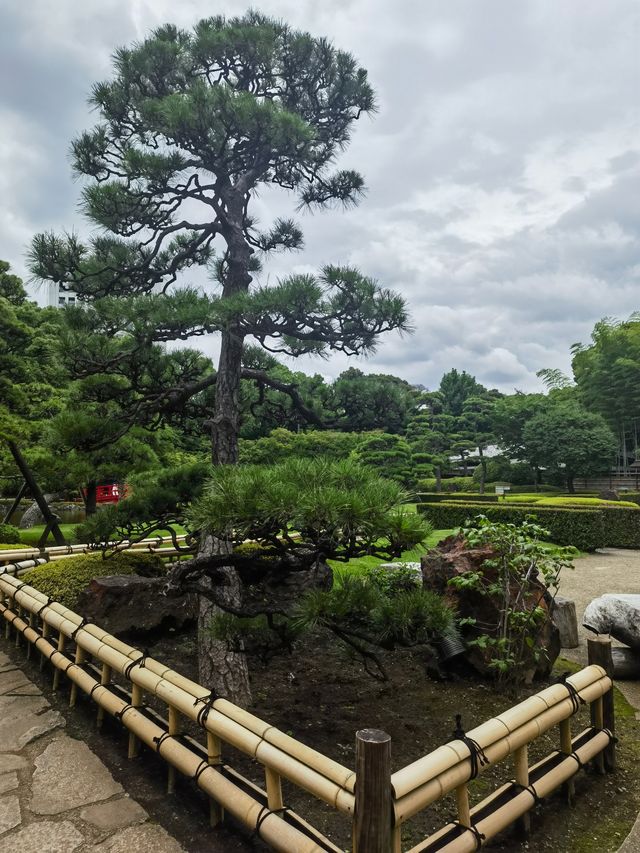 鬧中取靜 東京市內的桃花源