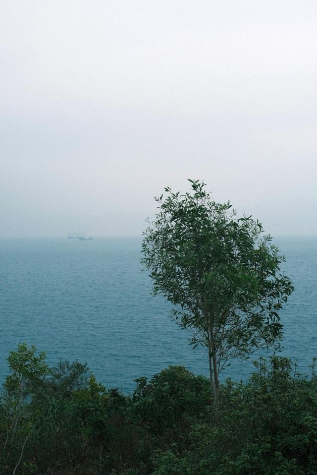 香港出行碎片｜坪洲島