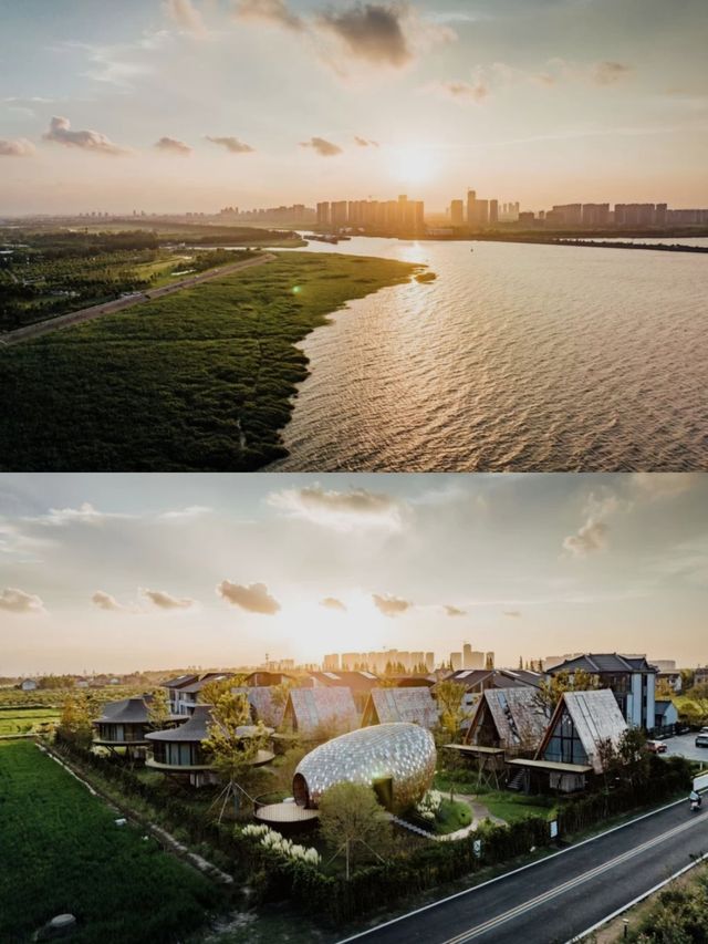 暑假·樹蛙部落我不愛學習，除非大自然教我