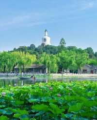 這個夏天怎麼能不去趟北海公園呢!