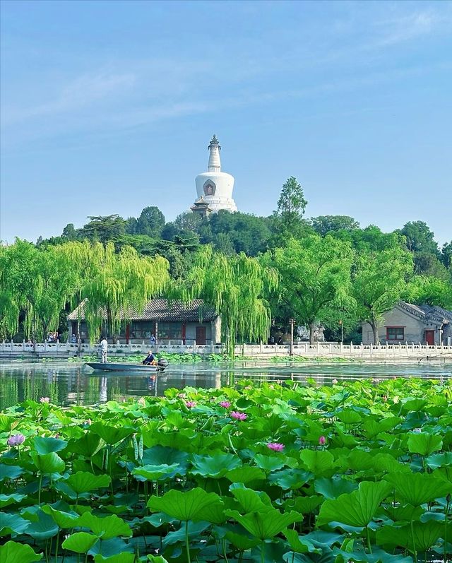 這個夏天怎麼能不去趟北海公園呢!