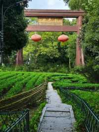 暑假玩水季怎能不帶娃來一次九溪十八澗，孩童免費玩水天堂地