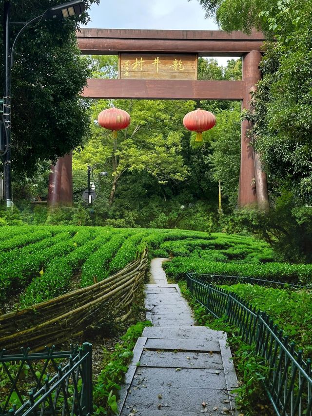 暑假玩水季怎能不帶娃來一次九溪十八澗，孩童免費玩水天堂地