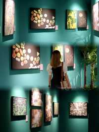 廣州看展，中國國家地理•探索 極致發現科學藝術影像展攻略
