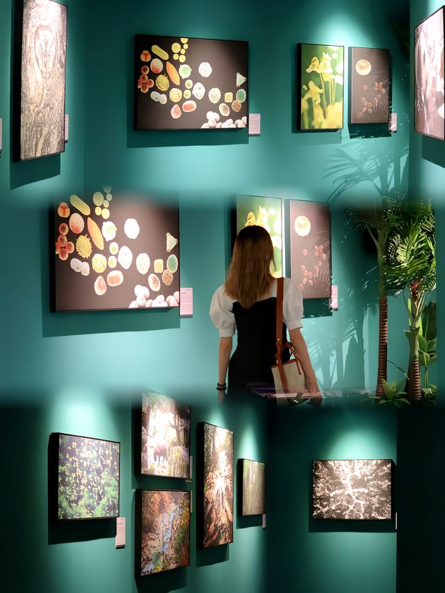 廣州看展，中國國家地理•探索 極致發現科學藝術影像展攻略