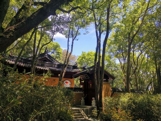 遊普陀山記