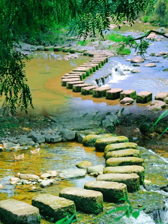 No exaggeration, after visiting this place, I want to go again