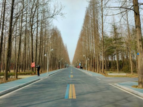 日照｜小眾城市，主打隨性玩法