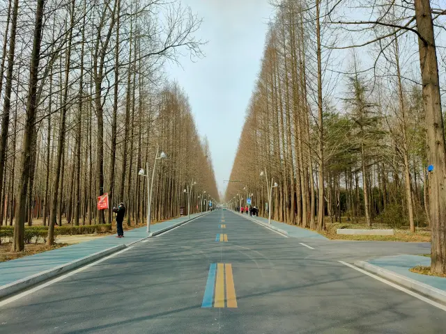 Rizhao | A Niche City, Emphasizing Casual Play