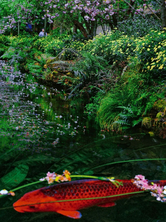 豐澤植物園，解鎖自然與文藝的完美邂逅