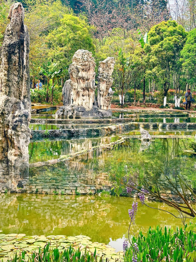 豐澤植物園，解鎖自然與文藝的完美邂逅