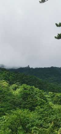 黃山