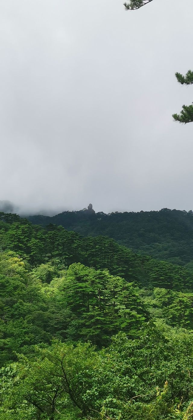 黃山