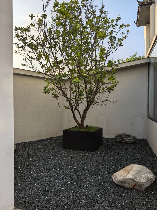 濕地公園內的度假酒店