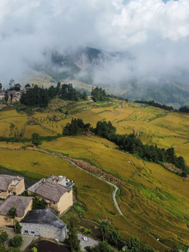 🌄 Yuanyang Hidden Gem: Discover Azheke's Mushroom Village Magic 🍄