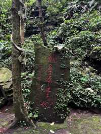 雲南秘境|西盟·龍魔爺聖地