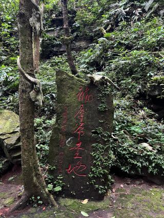 Yunnan Secret Realm | Ximeng · Dragon Demon Lord's Holy Land
