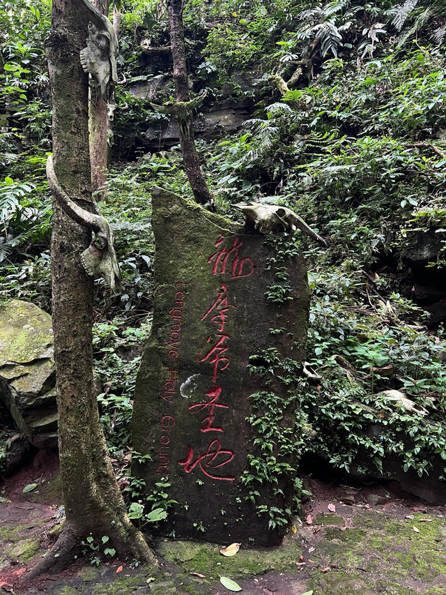 雲南秘境|西盟·龍魔爺聖地