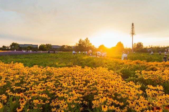 吉林長春北湖濕地公園｜一幅充滿生機與活力的畫卷。