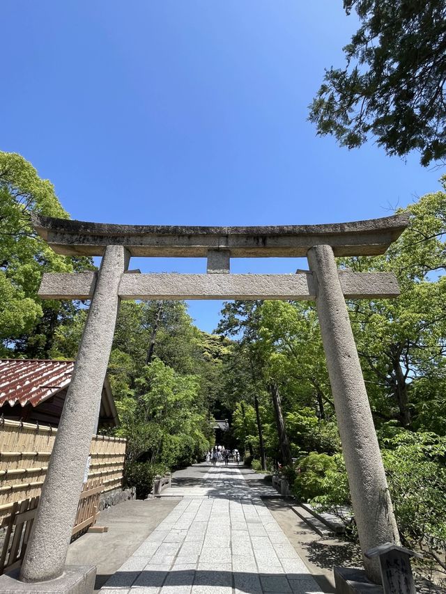 鶴岡八幡宮。