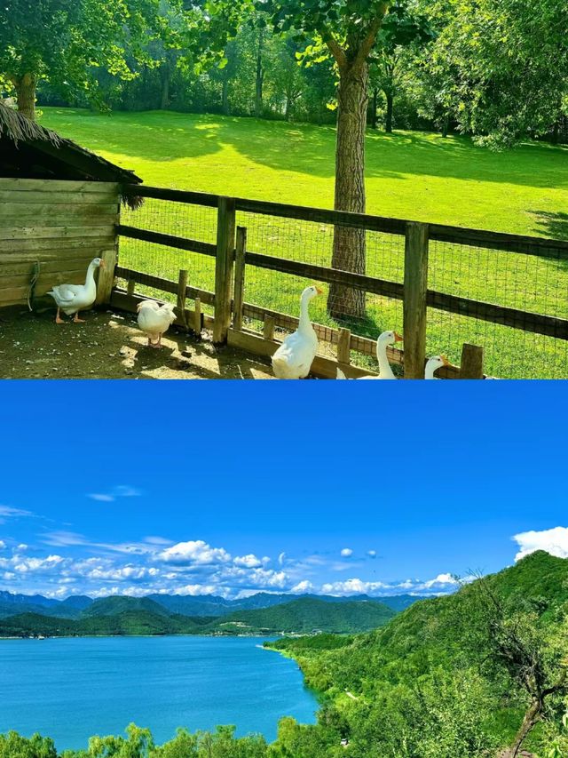 碧波島。