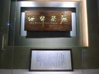 雲南·普洱——探訪西南茶都。