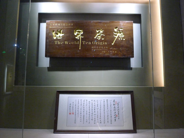 雲南·普洱——探訪西南茶都。