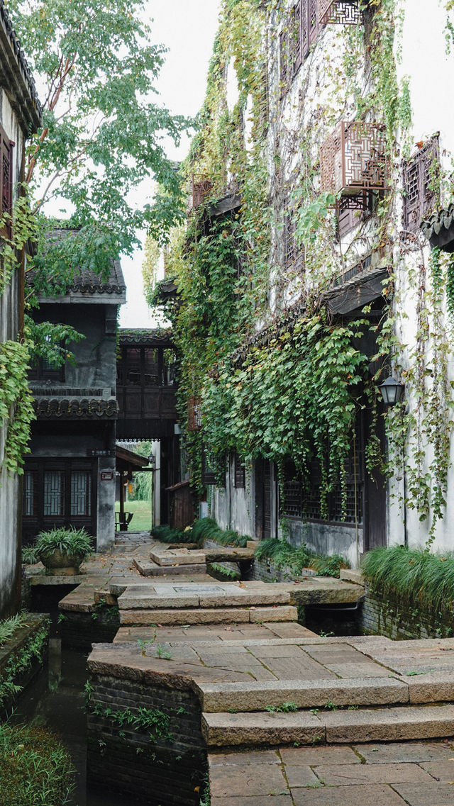 梅花洲怎麼變成綠野仙蹤了。