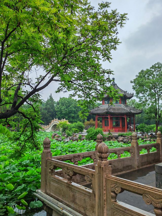 河北保定蓮花書院。