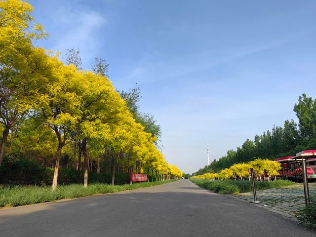 天津西青郊野公園 | 搭帳篷釣螃蟹。