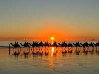 Camel and Sunset 🌅 🐫 What’s more healing than that 🇦🇺