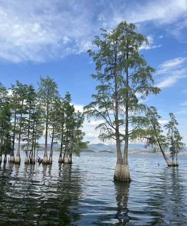 洱海的浪漫，邂逅的天堂。